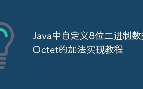 Java中自定义8位二进制数类Octet的加法实现教程