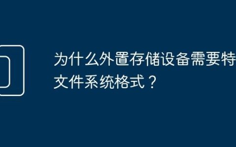 为什么外置存储设备需要特定文件系统格式？