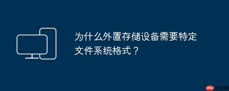 为什么外置存储设备需要特定文件系统格式?