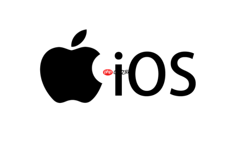 苹果16夜间拍照模式怎么开_苹果16夜景模式拍摄技巧