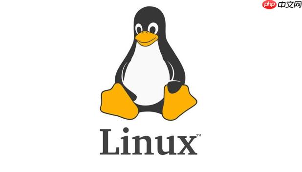 linux如何在命令行中运行脚本文件