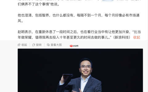 前荣耀 CEO 赵明谈离职后去向：外面传的都是“捕风捉影”