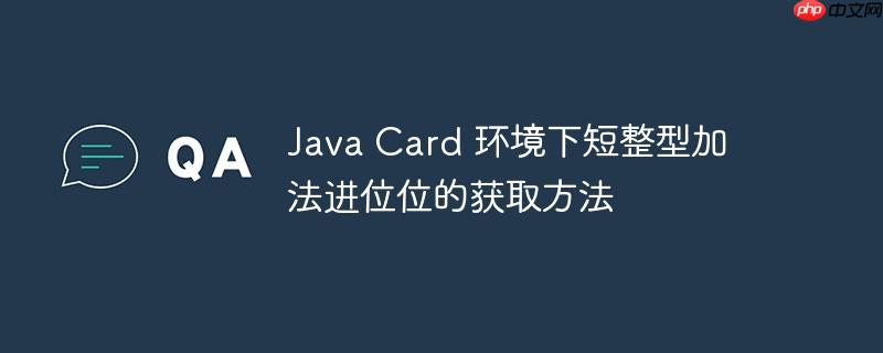 java card 环境下短整型加法进位位的获取方法