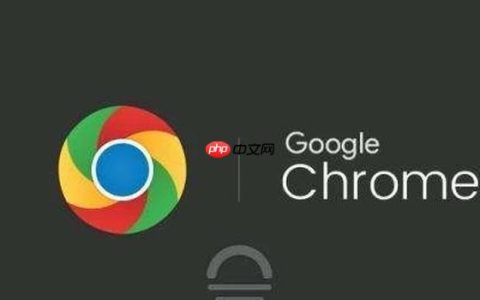 Google Chrome 官方入口一键直达
