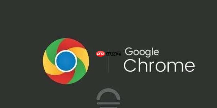 google chrome 官方入口一键直达