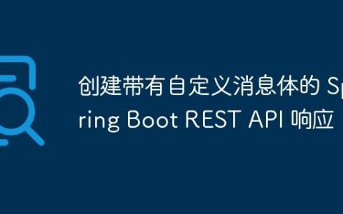 创建带有自定义消息体的 Spring Boot REST API 响应