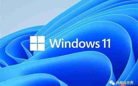 Win11 神优化！CPU、内存占用暴降，速度傻快让人秒弃 Win10