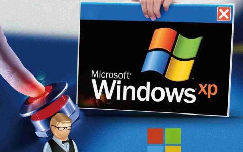 2021 年 Windows 成了 Python 开发者的首选