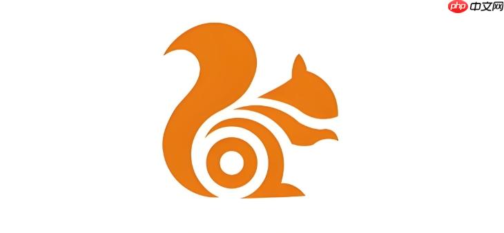 uc浏览器开发者模式怎么开启_uc浏览器开发者选项进入方法