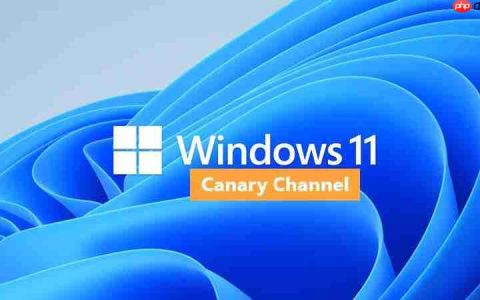 Windows 11更新：新增打印安全功能及关键修复