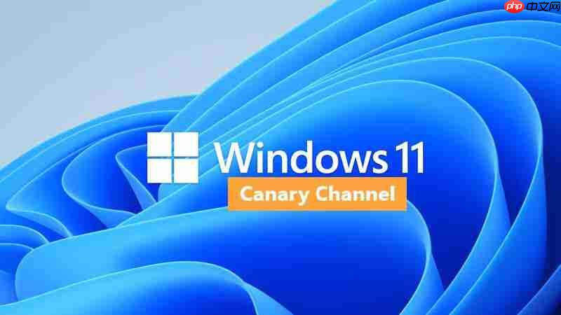 windows 11更新:新增打印安全功能及关键修复