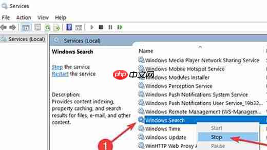 win10系统windows.edb文件可以删除吗?