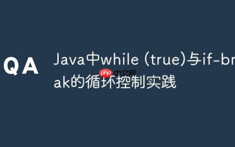 Java中while (true)与if-break的循环控制实践