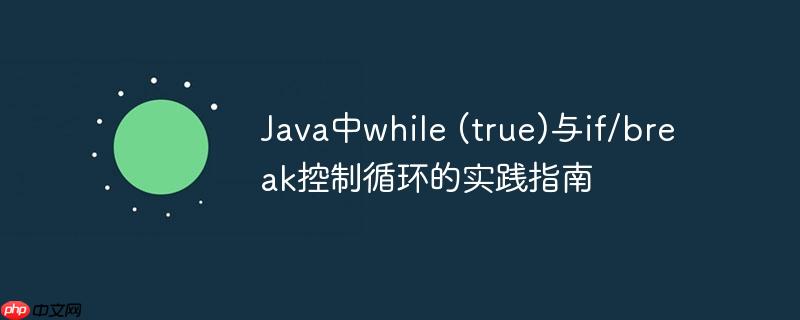 Java中while (true)与if/break控制循环的实践指南