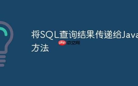 将SQL查询结果传递给Java方法