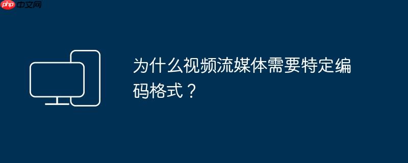 为什么视频流媒体需要特定编码格式?