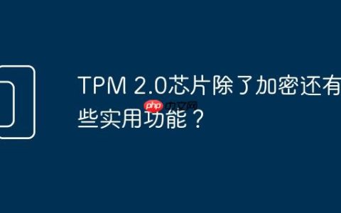 TPM 2.0芯片除了加密还有哪些实用功能？