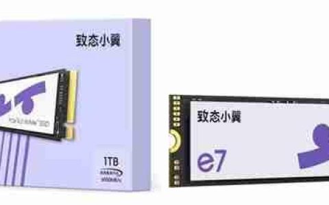 翼启体验！致态五周年发布旗下新品牌“致态小翼”
