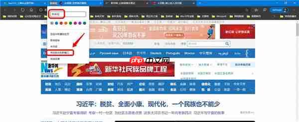 Win10怎么使用Tab Groups标签分组批量管理页面?