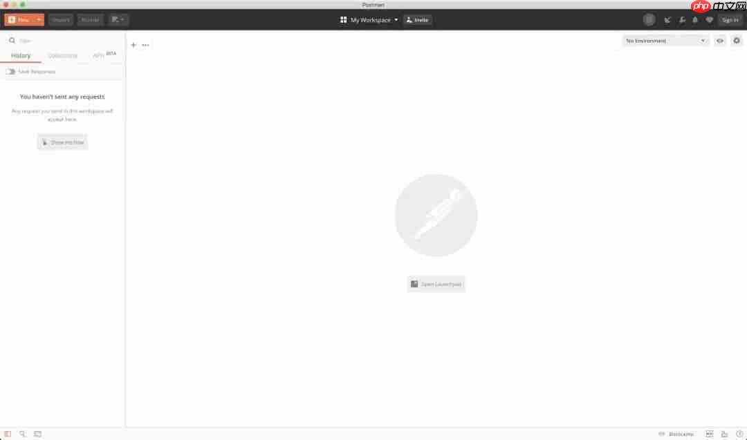你会换掉Postman吗?我正在用HTTP Client…