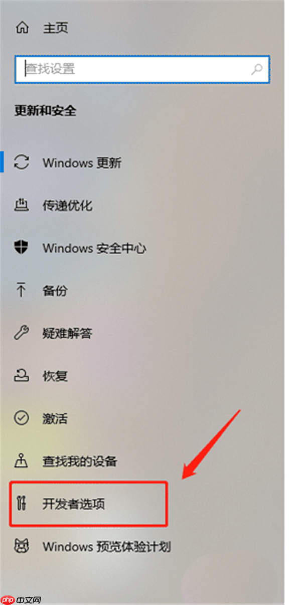 Win10怎么开启开发人员模式？