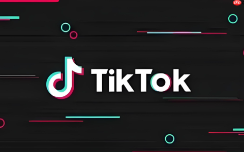TikTok国际版入口在线平台 TikTok国际版官方登录直达