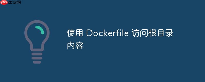 使用 dockerfile 访问根目录内容