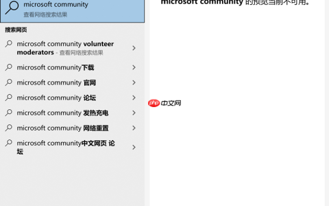 Windows Search搜索网页预览不可用怎么办？