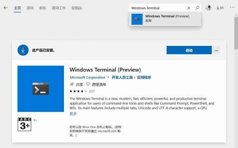 Windows Terminal安装及美化