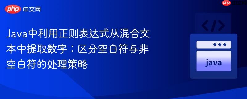 Java中利用正则表达式从混合文本中提取数字:区分空白符与非空白符的处理策略