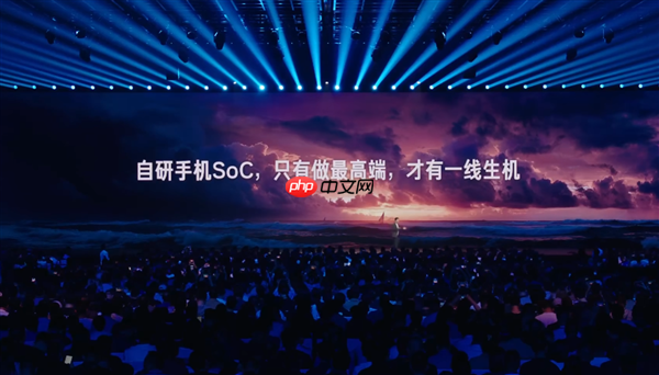 雷军谈自研手机soc:只有做最高端才有一线生机