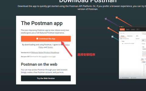 Postman Windows 10 安装过程