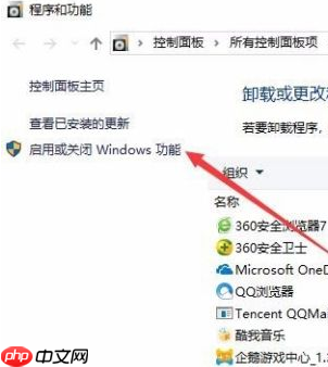 Win10没有hyperv选项只有虚拟机平台怎么回事?