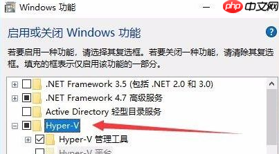 Win10没有hyperv选项只有虚拟机平台怎么回事?