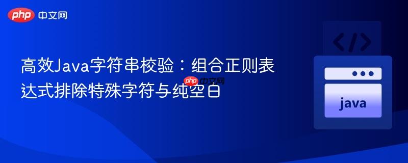高效Java字符串校验:组合正则表达式排除特殊字符与纯空白