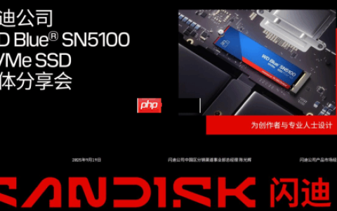 专为内容创作、AI应用打造的存储设备来了！闪迪媒体分享会展示新款SN5100 SSD