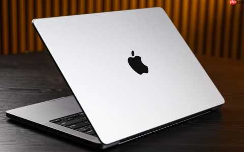 MAC怎么查看实时网速_macOS在菜单栏显示网络速度方法