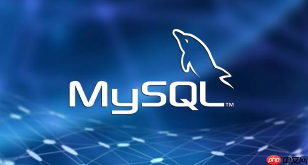 mysql如何选择合适的存储引擎