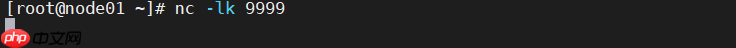 快速入门Flink (7) —— 小白都喜欢看的Flink流处理之DataSources和DataSinks