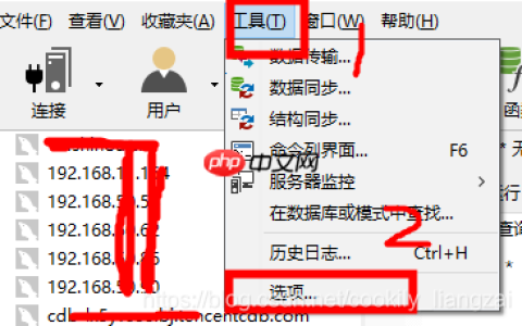 windows navicat连接oracle11G 自用 实践笔记