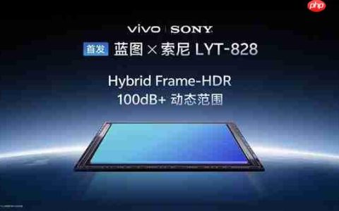 vivo X300系列首发索尼LYT-828：挑战专业视频能力
