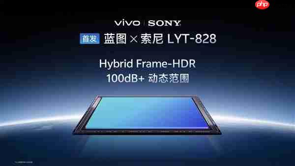 vivo X300系列首发索尼LYT-828:挑战专业视频能力