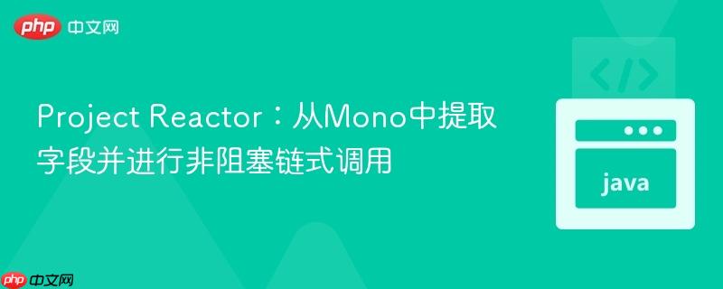 Project Reactor：从Mono中提取字段并进行非阻塞链式调用