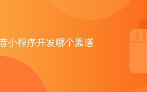 浙江抖音小程序开发哪个靠谱