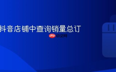 如何在抖音店铺中查询销量总订单