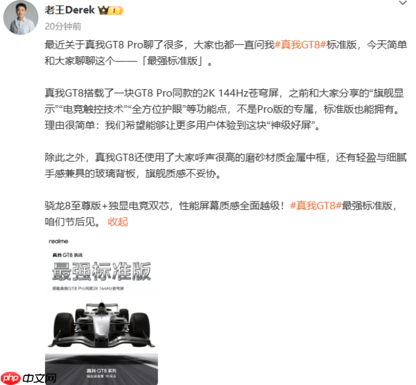 真我副总裁预热真我GT8新机:搭载2K 144Hz苍穹屏