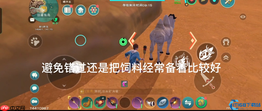 驯服沙海之舟:面包岛沙漠骆驼捕捉终极手册