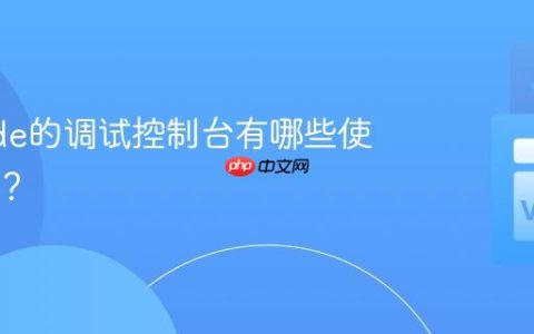 VSCode的调试控制台有哪些使用技巧？