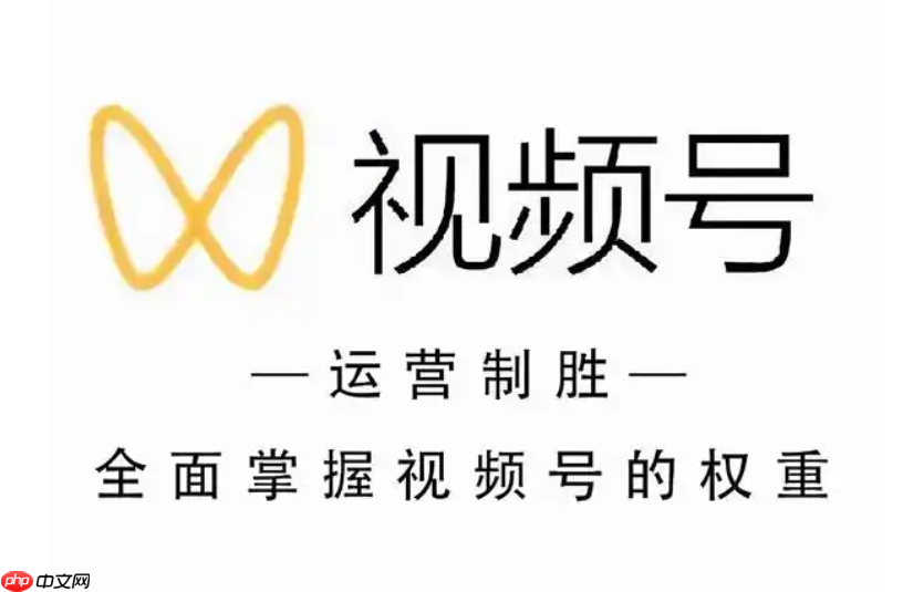 如何提升视频号关注数?五大策略:明确定位、高质量内容、定期更新、互动交流与推广手段!