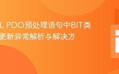 MySQL PDO预处理语句中BIT类型字段更新异常解析与解决方案